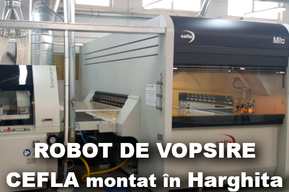 Vezi Montaje roboti de vopsire Cefla - Mito in Romania